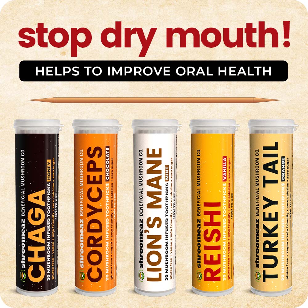 Shroomeaz Infused Flavored Toothpicks (100 Picks - 5 Pack - Variety- Vanilla, Honey, Chocolate, Orange, Mint)
