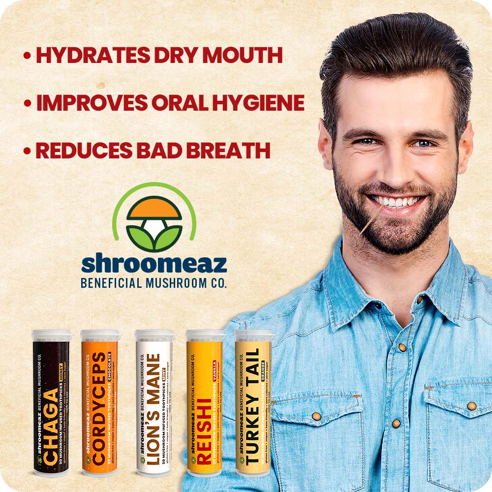 Shroomeaz Infused Flavored Toothpicks (100 Picks - 5 Pack - Variety- Vanilla, Honey, Chocolate, Orange, Mint)