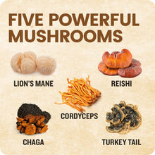 Load image into Gallery viewer, Mushroom Infused Toothpicks
