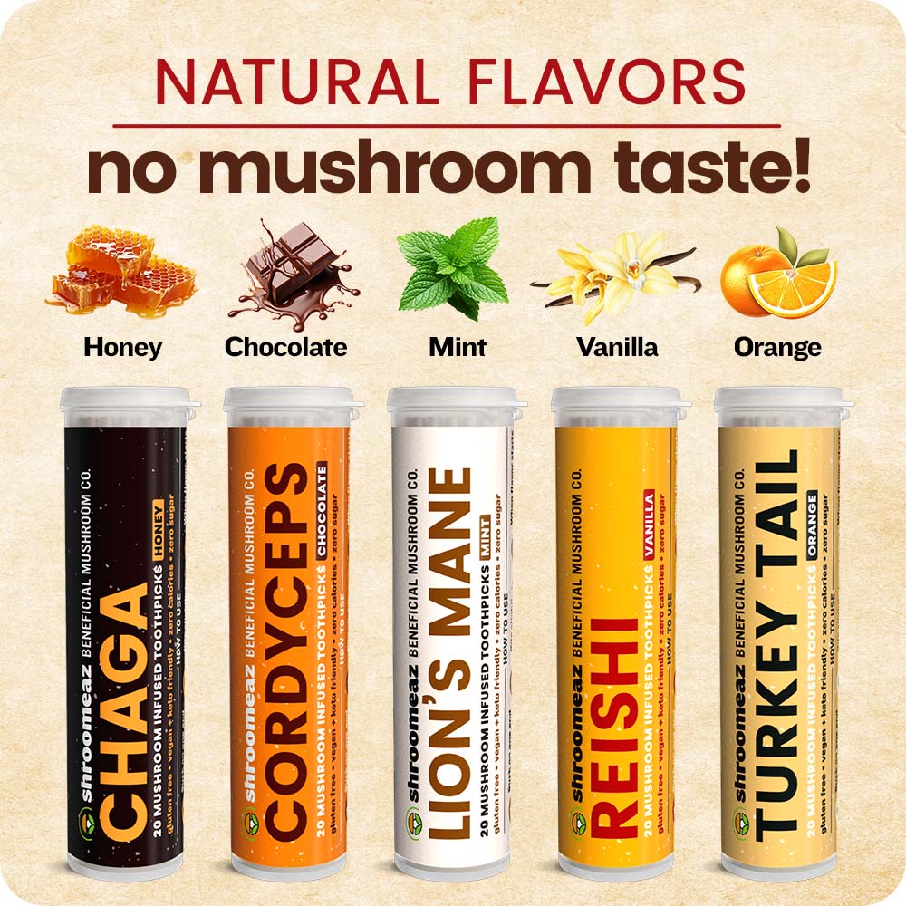 Shroomeaz Infused Flavored Toothpicks (100 Picks - 5 Pack - Variety- Vanilla, Honey, Chocolate, Orange, Mint)