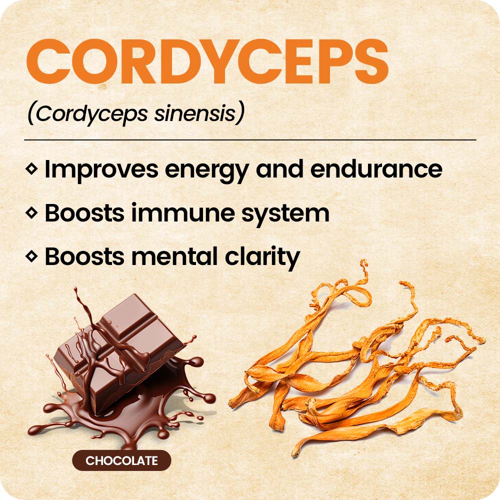 Mushroom Infused Toothpicks - Cordyceps (3 Pack)